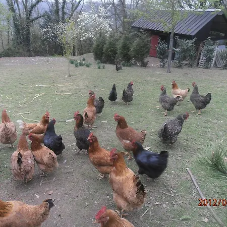 Pensjonat Les 3 Petites Chouettes
